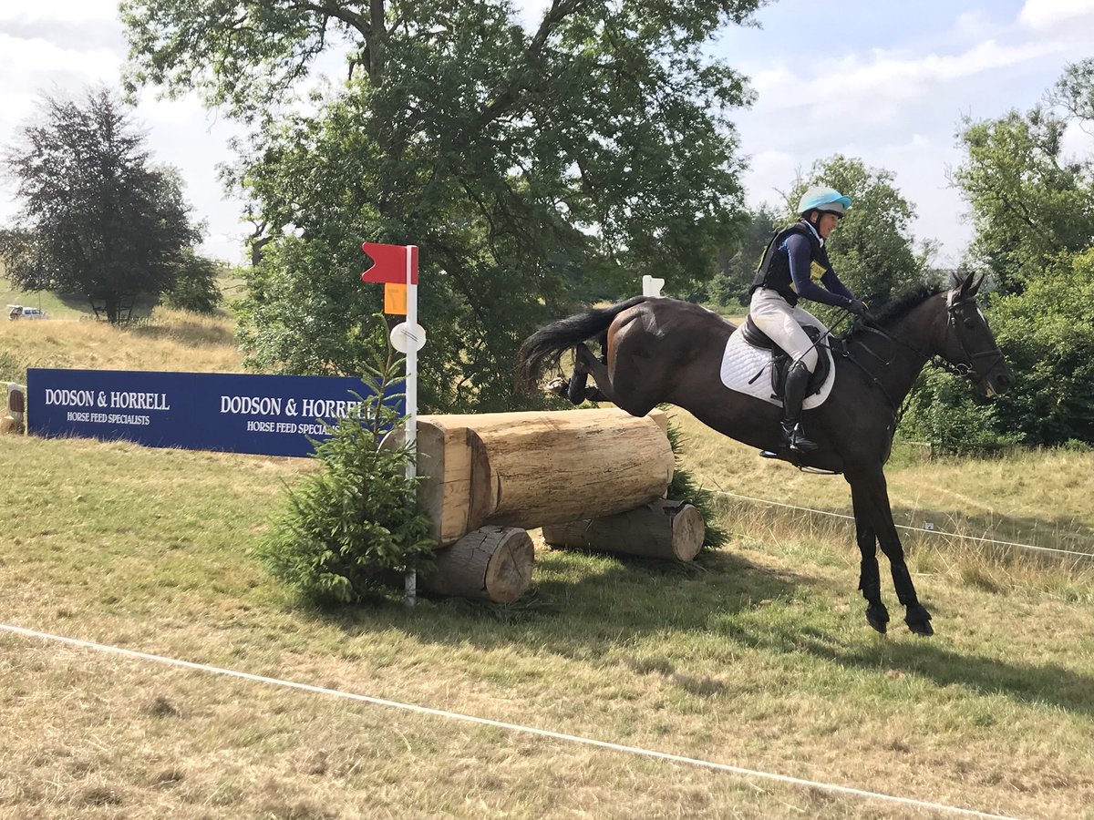 First horse on course and beautifully clear of @DodsonHorrell Owl Log here <a href="/BEventing/">British Eventing</a> <a href="/mmsnippets/">Magic Millions</a> <a href="/FestivalofBE/">Festival of British Eventing</a> 
#FBE18 #FJLife #FrontRowSeat