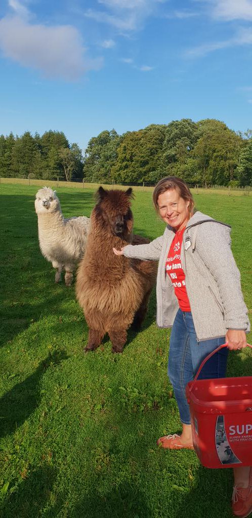 TheAdPlain's tweet photo. An event of discovery @RYP2018 #ideasfestival - who knew our digital/social whiz @borjavv is infact an #alpaca whisperer 🤣 @JCMandCo @janecraigie Fun on the farm courtesy of @rebeccajdawes https://t.co/IcQtos7lpv