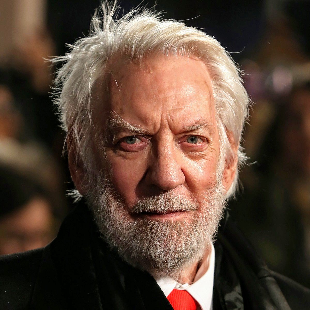 ツッチーフルーティー 今夜のナイスガイな一枚 Donald Sutherland ドナルド サザーランド 現役 カッコいいおじいちゃん 逆に若い頃の方が老けて見えたりします カレンと共演 イナゴの日 で純粋かつ屈折した心故に 心身ともに破滅する特異な男