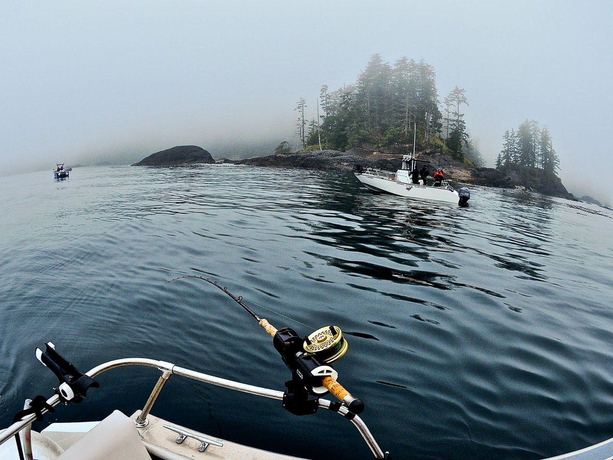 Lots of wind and rain this week, made bearable by lots of Chinook and Coho. Check out our latest fishing report and photos from Langara Island: langara.com/fishing-report…  #fishingbc #haidagwaii