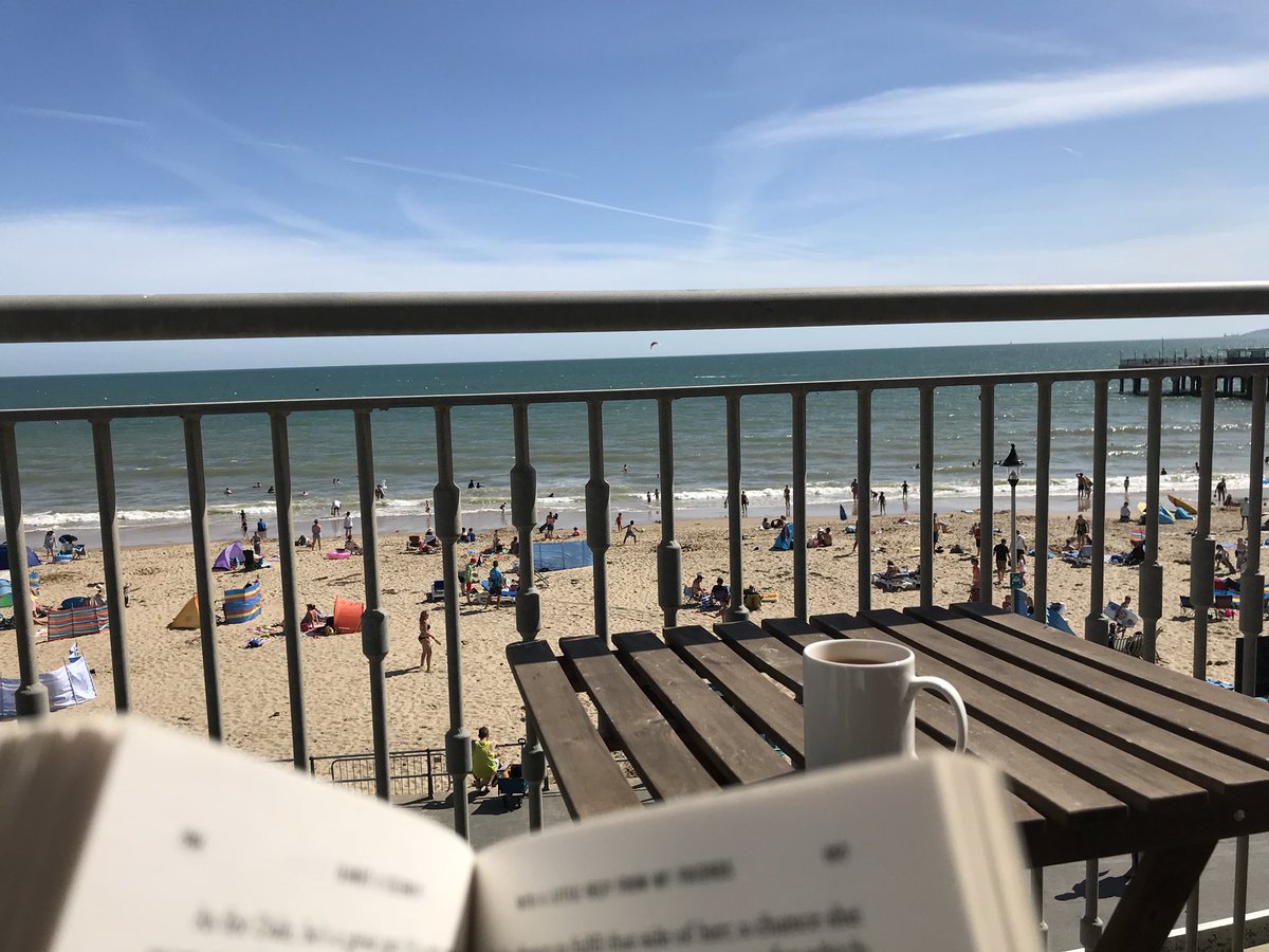 SonicUtd's tweet image. @THEJamesWhale Holiday read, very enjoyable 👍🏻 #AlmostACelebrity