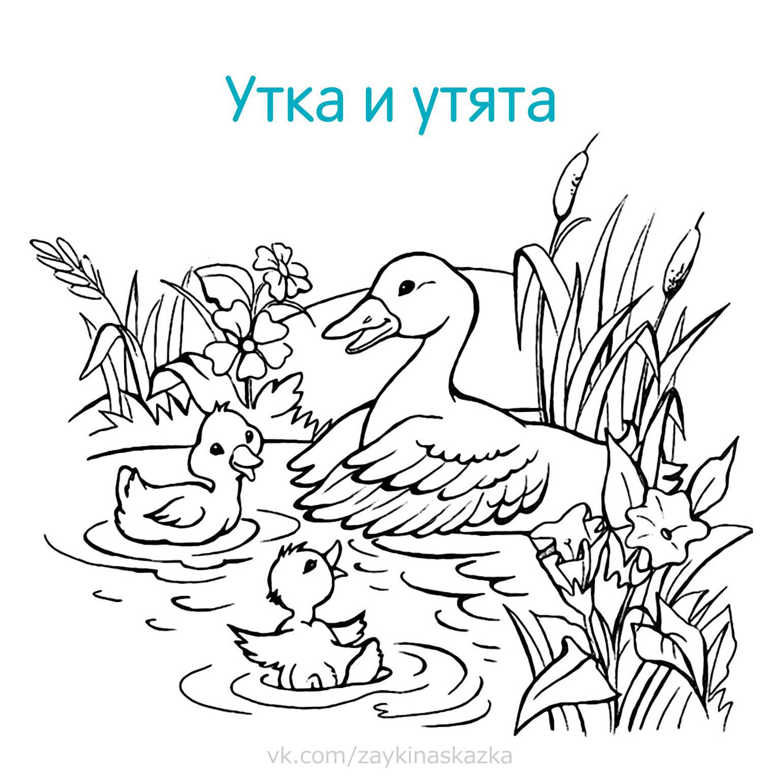 Раскраска мама с детенышем