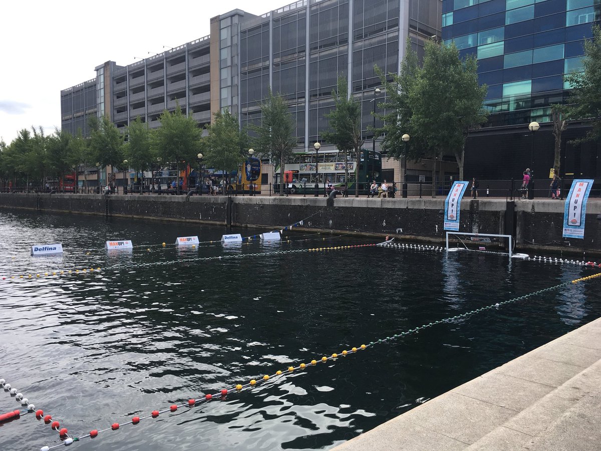 Catfish Designs UK tweet media