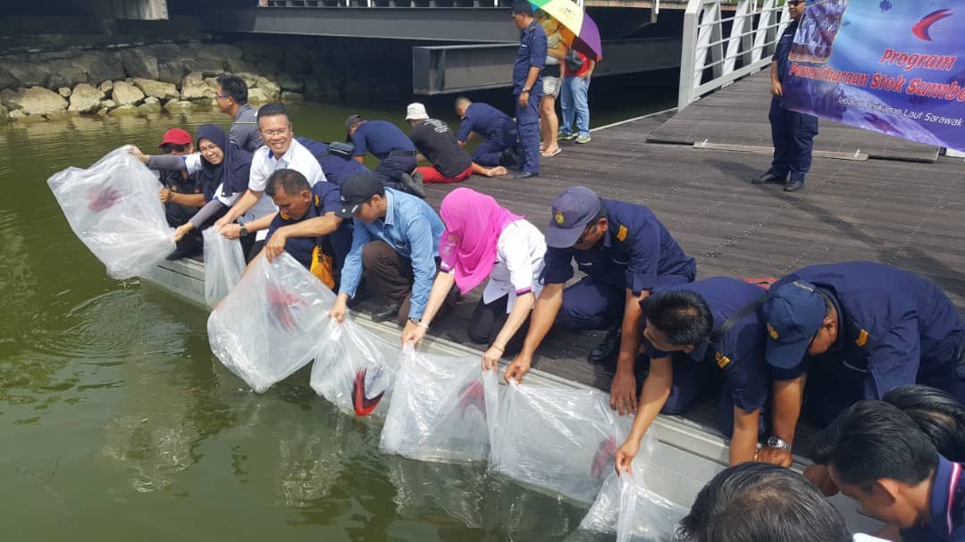dofmalaysia's tweet photo. Program pemuliharaan sumber stok perikanan oleh Jabatan Perikanan Laut Sarawak, melalui aktiviti pelepasan benih ikan siakap di perairan umum #myDOF #moa https://t.co/mFtvKlbui7