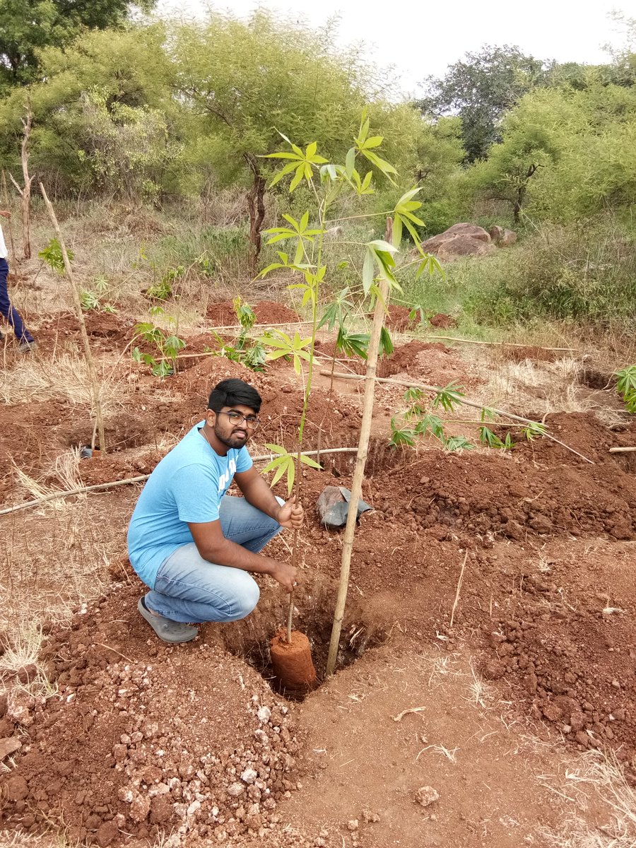 Rakshith1089's tweet photo. #ship2018 #activity3
#myhyderabad
#myresponsibility
As part of #HarithaHaram
It felt good today planting plantation thanks to @CommissionrGHMC @GHMCOnline
@GhmcSbm
@HarithaHaram
@swachhhyd
@musharraf_ias https://t.co/eTf9SaMBle