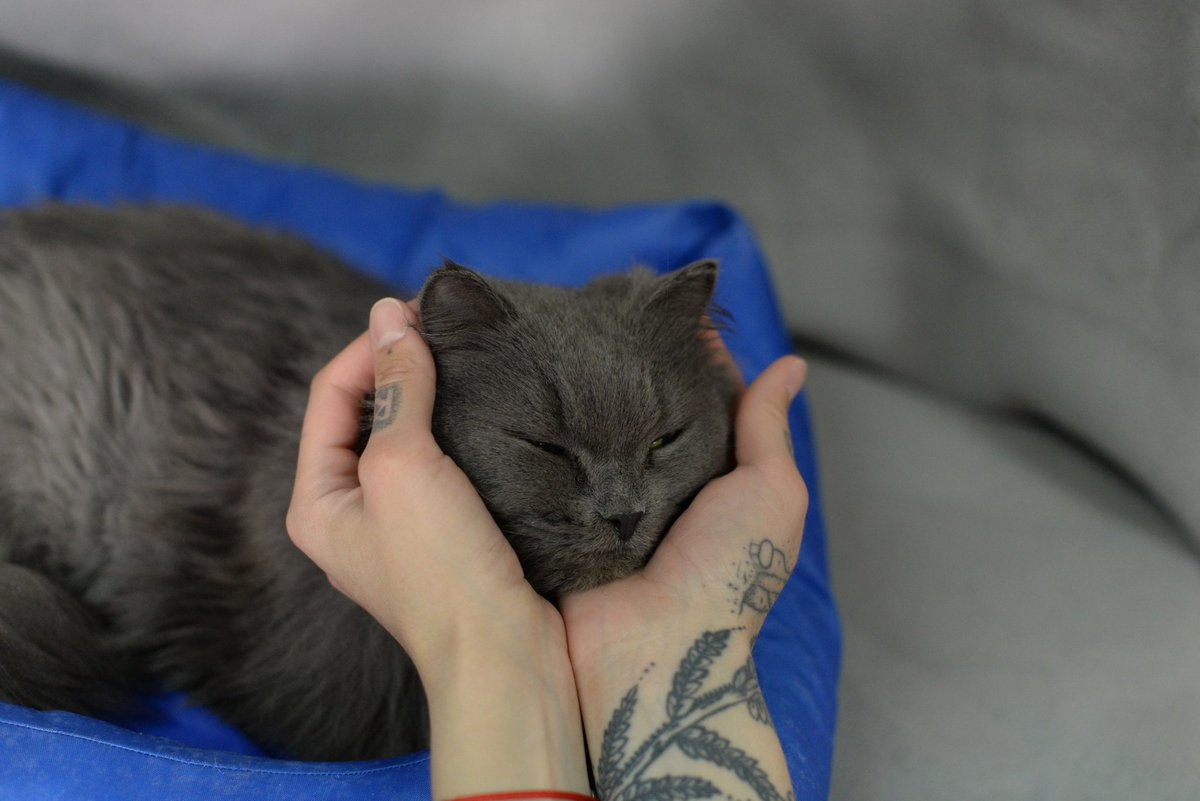 HelpAnimalTomsk's tweet image. Животным из Содружества vk.com/club72239367 снова нужна ваша помощь!
Помогите сохранить им крышу над головой, обеспечить кормом и необходимыми лекарствами❤
У нас много новеньких, которым нужно лечение
@elkasinger ретвит пожалуйста

#Томск #бездомныеживотные
Все чеки в группе