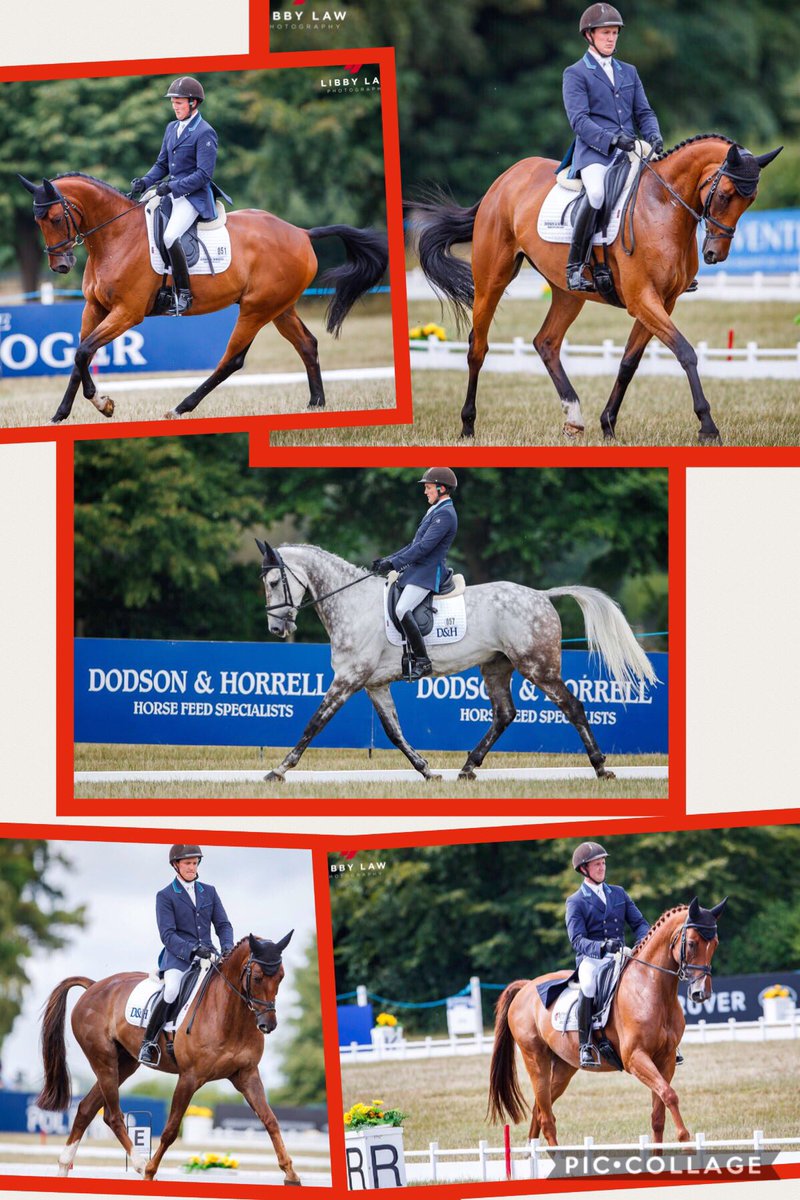 Tom McEwen tweet media