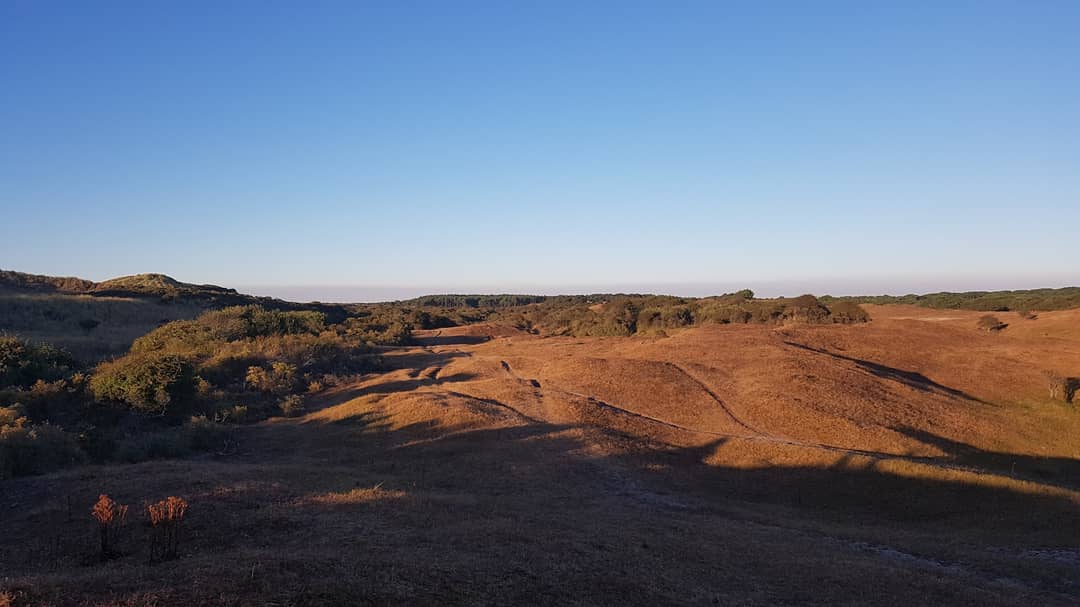 vangestelmark's tweet photo. Exploring the dunes π¦ and enjoying the sunset ππ²π€π» #trailrunning #trainrunachieve #zeeuwsekust https://t.co/xVcfa35FKt