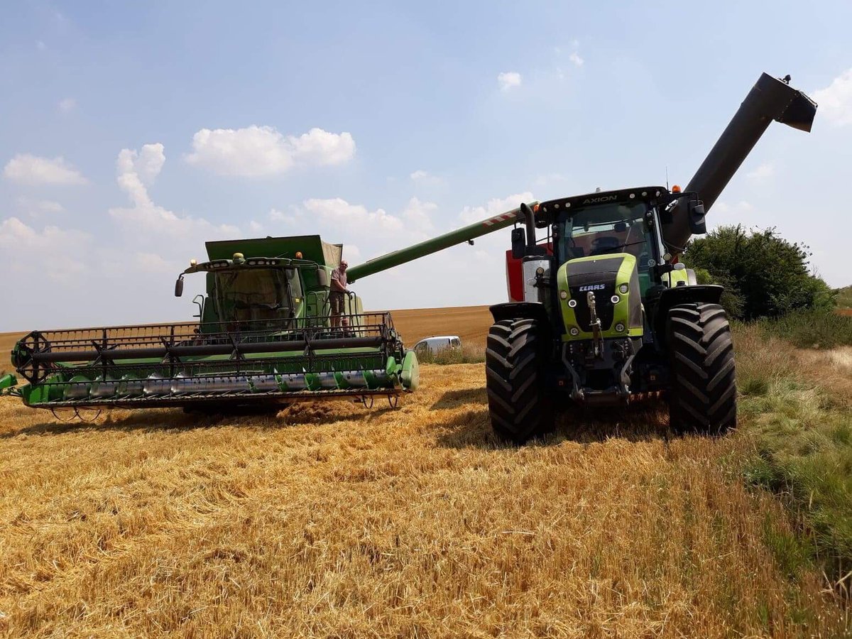 Cuma de Péroy tweet media