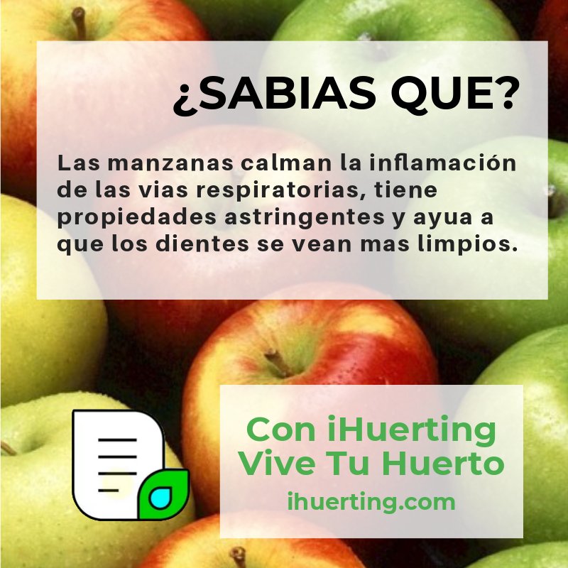 iHuerting's tweet photo. ¿Sabias que las manzanas...? https://t.co/CkmNjPhelh #iHuerting #vivetuhuerto https://t.co/UiYTtVcYob