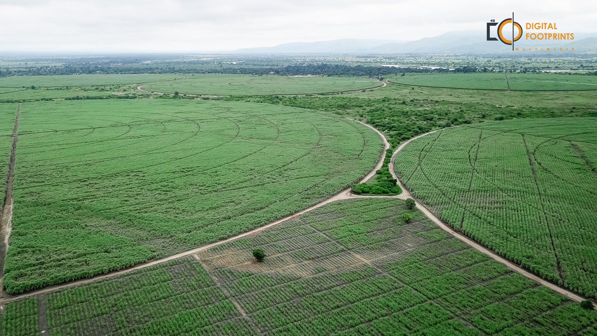 FootprintsMw's tweet photo. Case study footprints #LTSAfricanLtd #LTSInternational #LTSMchitukoko #Chikwawa #Photography #Marvicpro #AerialPhotography https://t.co/gocycU6QCU