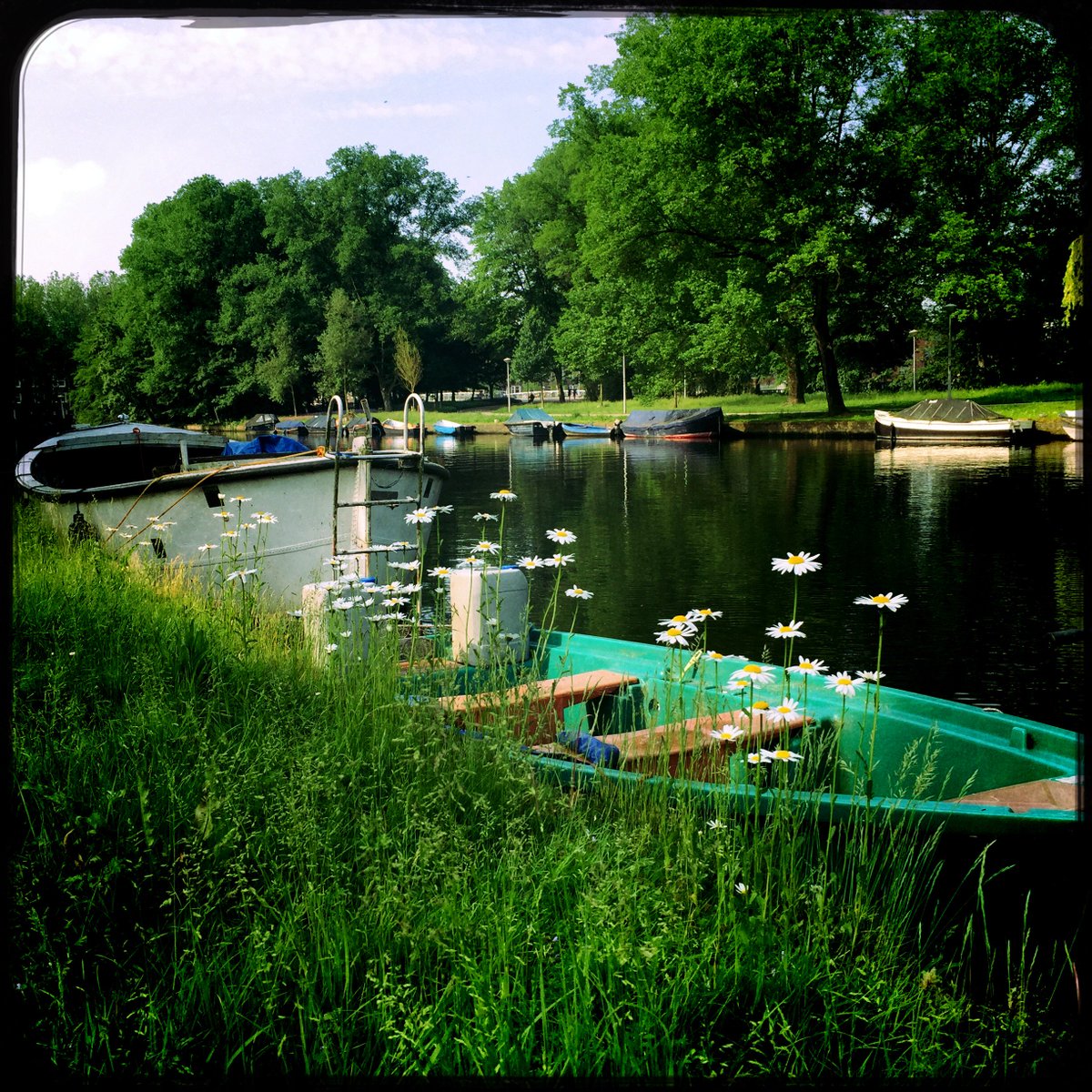 Pride, hitte en drukte lijkt me geen goede combinatie, ik blijf thuis en geniet van het uitzicht op 'mijn' #Westlandgracht