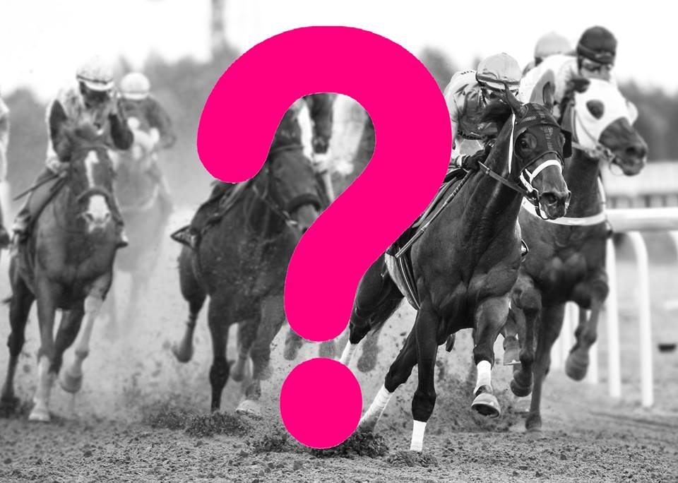 Who will be the 2018 Lady Jockeys' World Champion? Tomorrow we will find out! 

Participating jockeys: 
G Cox 🏴󠁧󠁢󠁥󠁮󠁧󠁿
M Eon 🇫🇷
D Johnson 🇳🇿
S Koyuncu 🇩🇪
J Landgren 🇸🇪
M Michel 🇫🇷
V Mota 🇧🇷
A Pilroth 🇸🇪
I Toverud 🇳🇴
S Vermeersch 🇧🇪

ljtwc.com