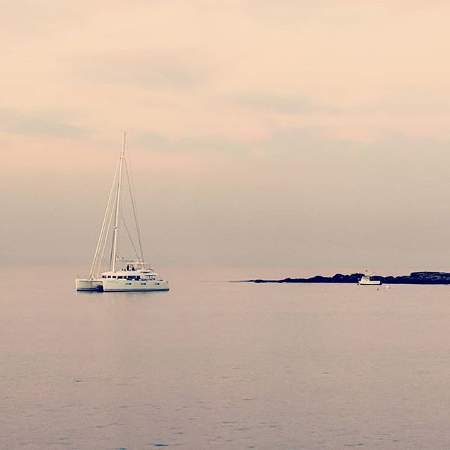 JackyCheung328's tweet photo. The magic hour... #magichour #sunset #ilovesydney #sydneysider #sydig #hkig https://t.co/Xlbbd58TYO https://t.co/FOLjVWrXei