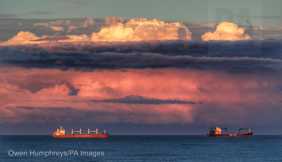 Owen Humphreys tweet media