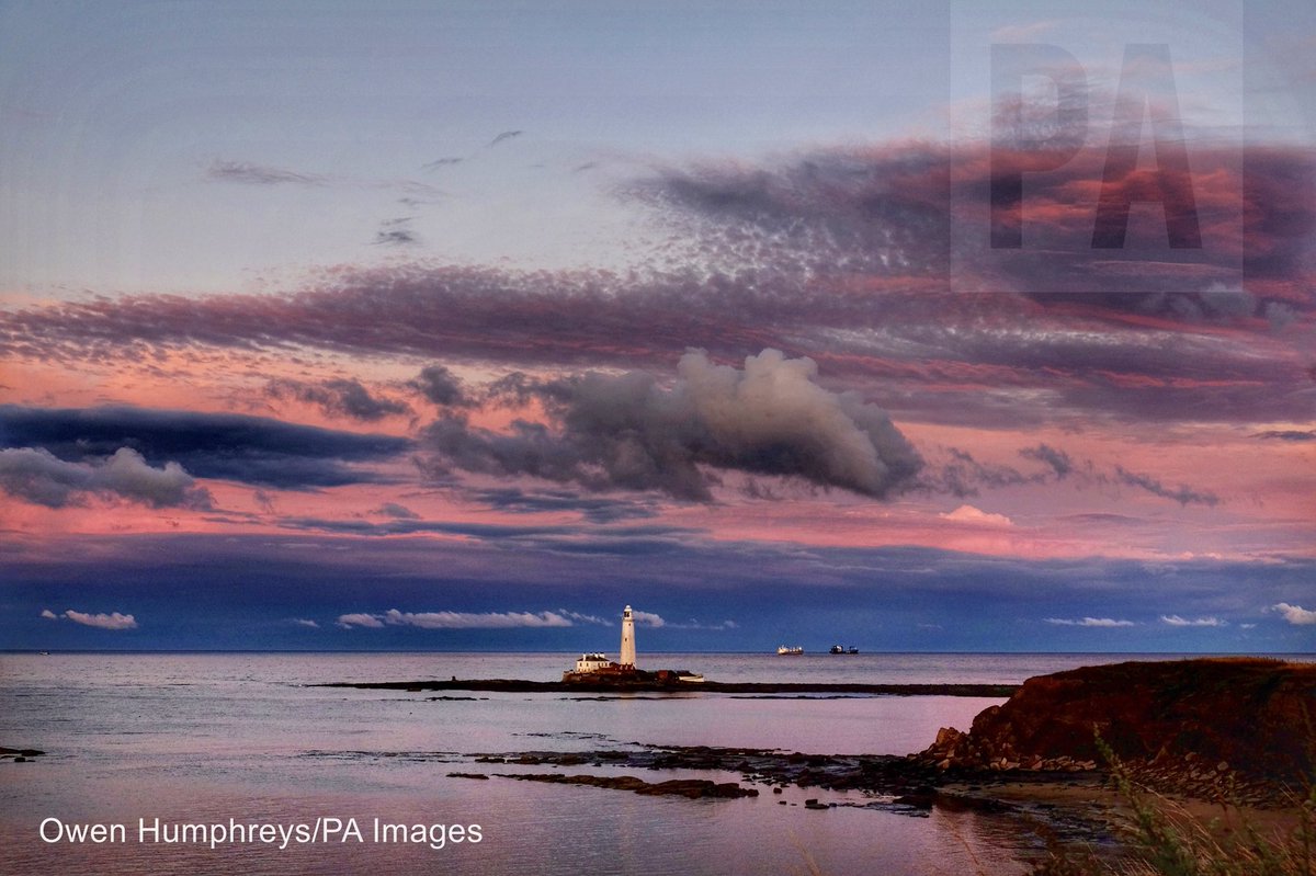 Owen Humphreys tweet media