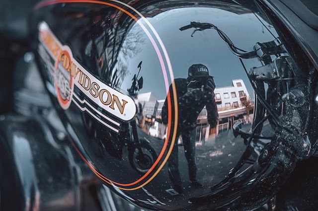 Sotallrightnow's tweet photo. Beating the dust off this ol girl 🇺🇸🦅🏍
#harleydavidson #dyna #dynafxdl #bonafidebeards #fujifilm_sa #bonafidemotoco https://t.co/flP62PhYkt https://t.co/ZxsI3bo5N3