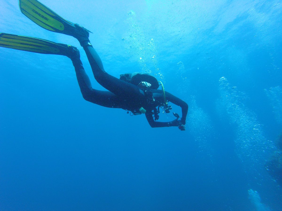 Guillemercal's tweet photo. Illa de l'Aire. Tresor submari amenaçat. Veurem aquesta legislatura la seva conversió en reserva marina? @Menorcalitoral @MenorcaBiosfera @binibeca_diving @SOSPosidonia @ https://t.co/gyKMISov4P