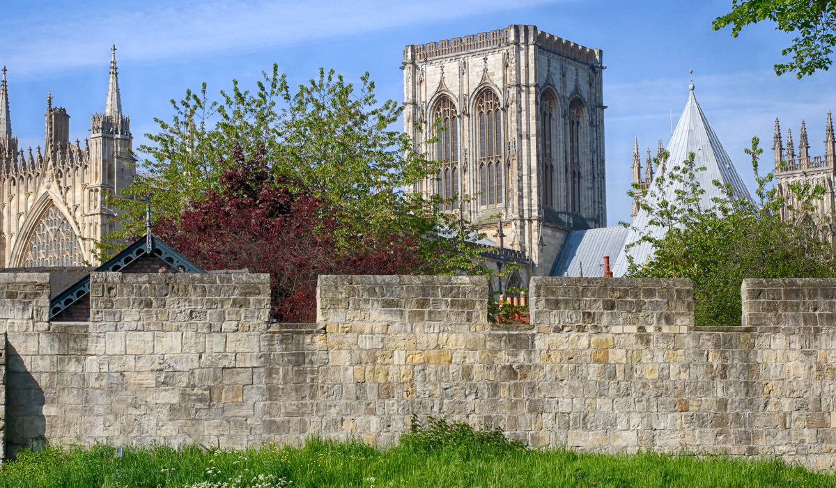 York Walls Festival tweet media