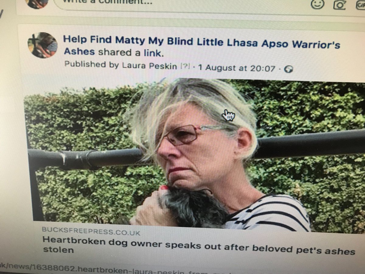 LauraPeskin's tweet image. @FindTheLostDogs Please help my Lhasa Matty's ashes + several more in stolen van somewhere in UK or dumped by roadside.  Taken 25/7 Tetbury area Gloucs.  Need closure am heartbroken