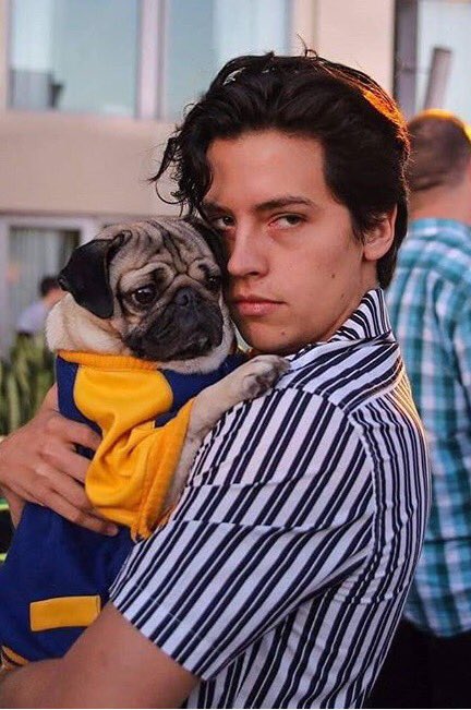              Cole Sprouse                                                      Happy Birthday Cole     