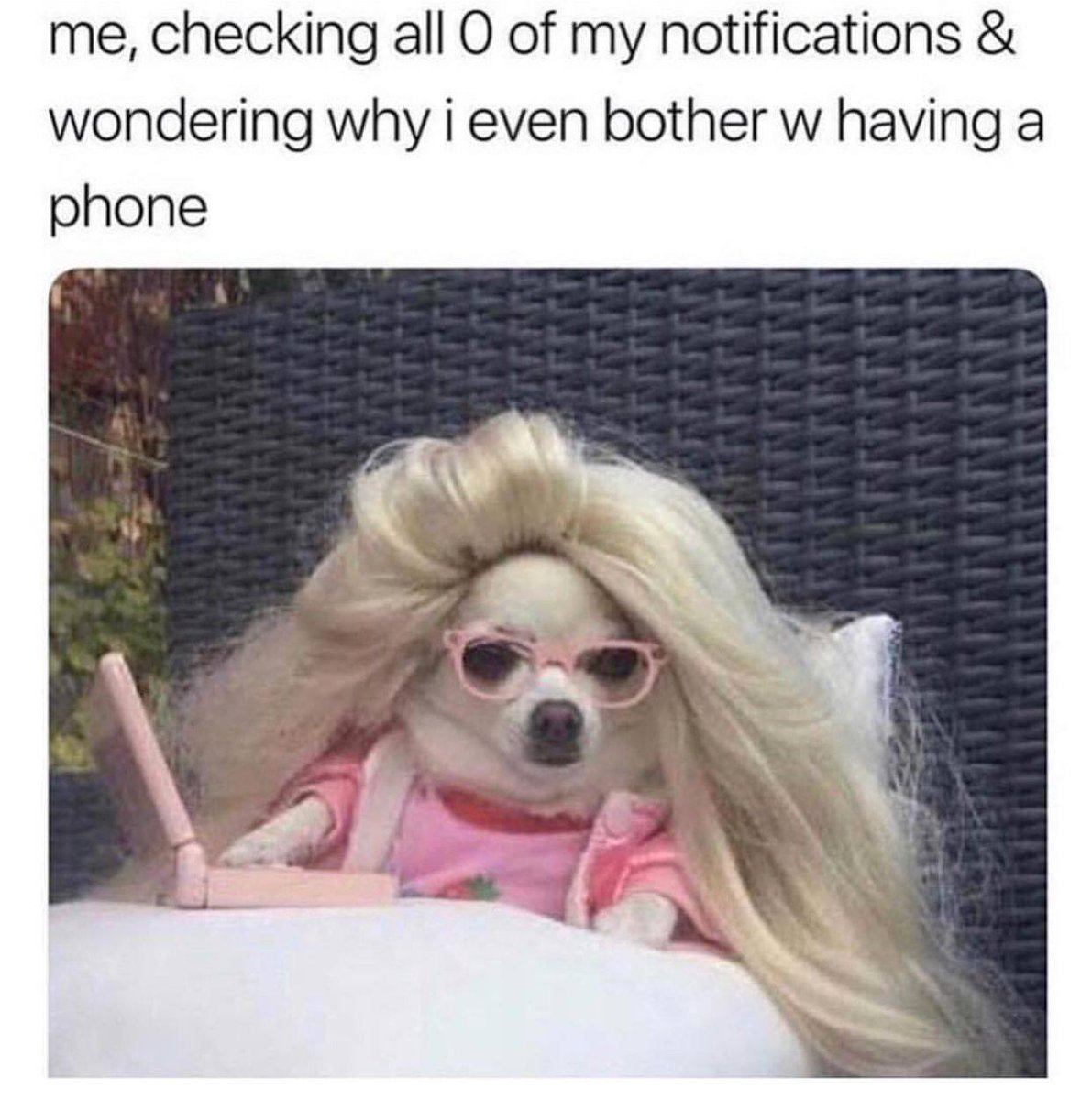 introvertsmemes's tweet photo. Relatable AF https://t.co/Xgy1mnVpsk