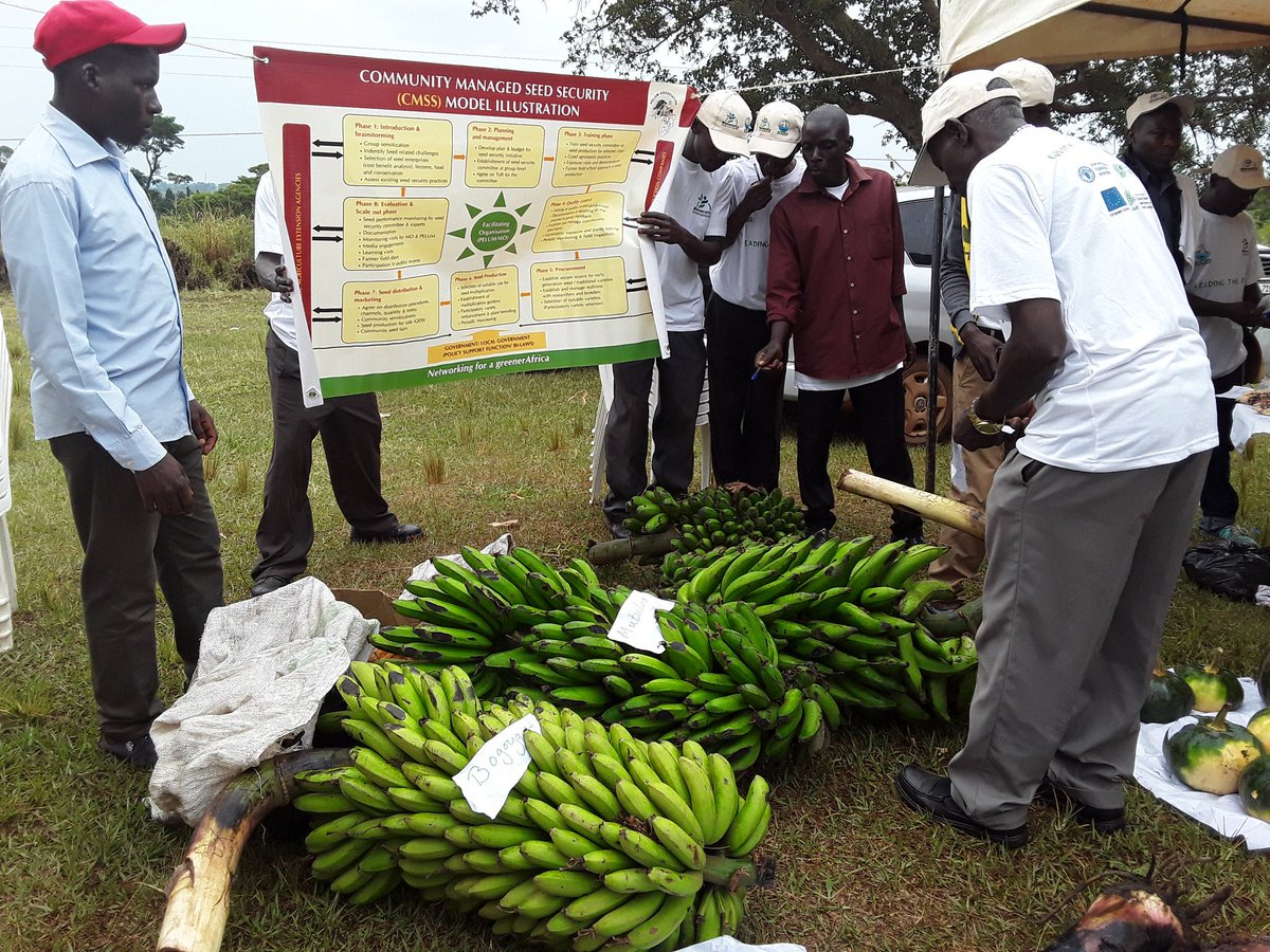 BulindiZ's tweet photo. Different seed varieties being showcased at the National Diversity Seed Fair @BulindiZ. Come &amp; learn more on superior quality seeds &amp; their preservation.  @narouganda @MAAIF_Uganda @OWC_ug #Naro4Devpt @BioversityInt @Charlie_Kemi @CGIAR @FAOUganda . https://t.co/3Ld6uUYLYl