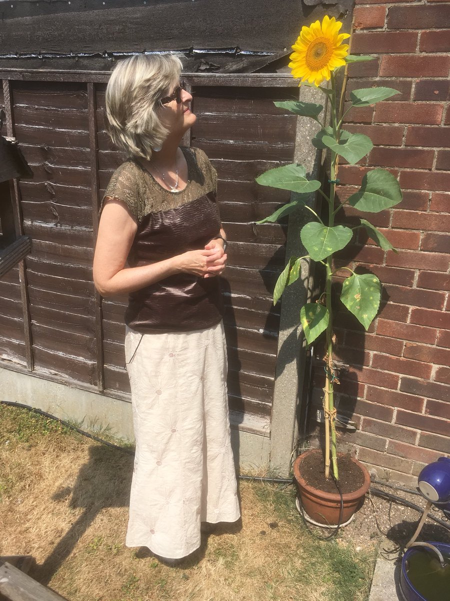 Single_Special's tweet image. Really blessed to grow sunflower seed given out to each of the congregation at Meadgate church, Chelmsford as an illustration for our expectation of faith from Jesus!