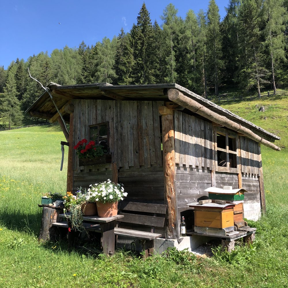 Gegenüber, beim Sepp (1.350 m SH)
#mountaingardening #StOswald #BadKleinkirchheim