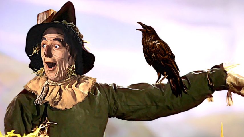 CharlesHeslett's tweet image. I think John was being a little harsh...it&apos;s the other, non-feathered variety, that you normally scare...@NickAhad! (Loving your work btw 😉) @BBCLeeds #LilNapoleon