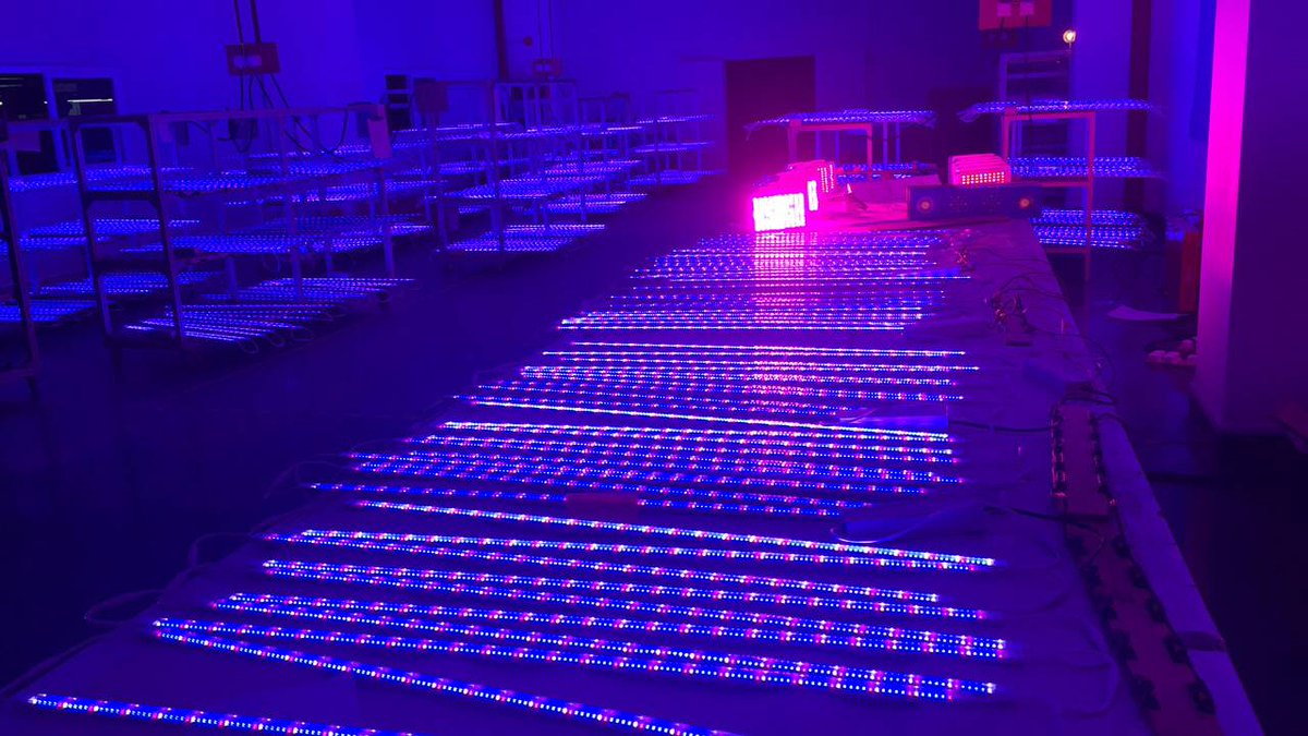 Jessi88367260's tweet photo. For Vertical Farming Lettuce/basil/microgreens/and more leafy plants growing~here we recommend Ecospeed grow bar light 18/20/24/30/36w.Pm me if needed~thanks #ecospeedled https://t.co/WK6pJ57YoK
jessi@Ecospeedled.com https://t.co/szgT3SQiIE
