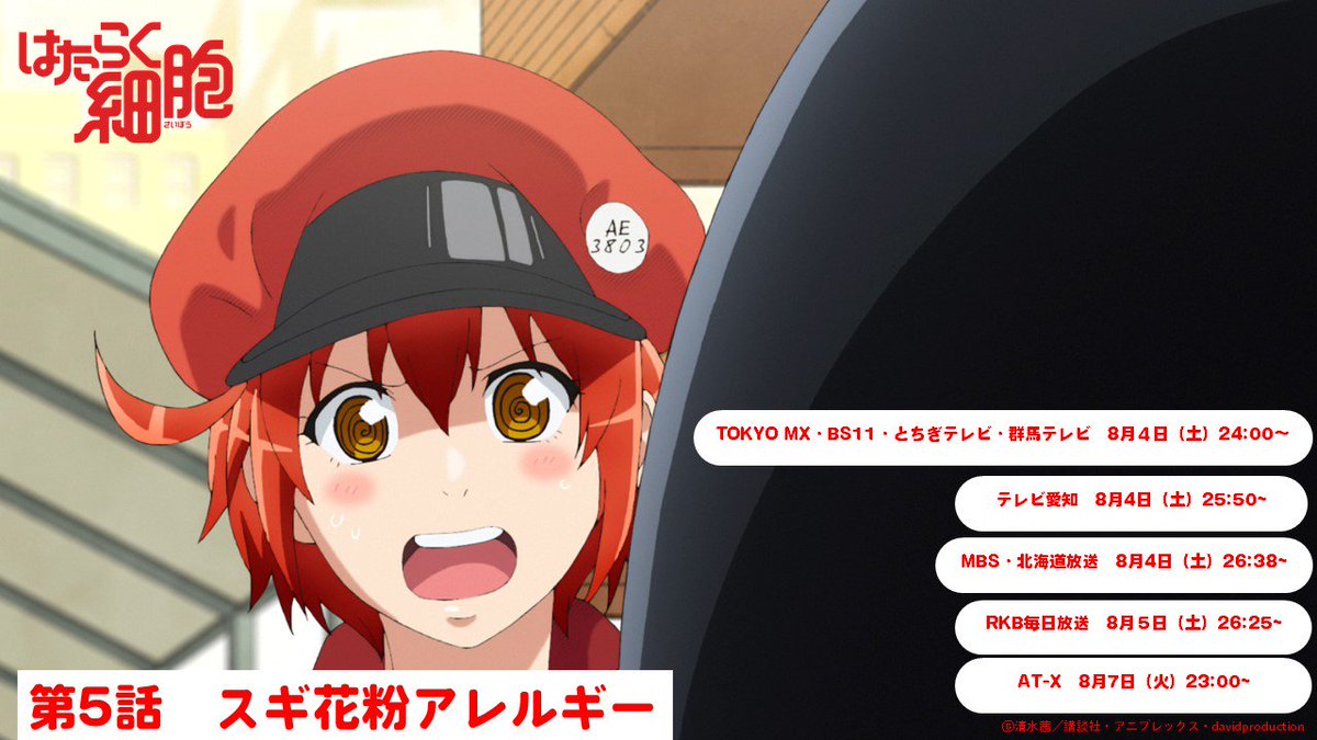 先週の土曜bs11深夜アニメ Twport