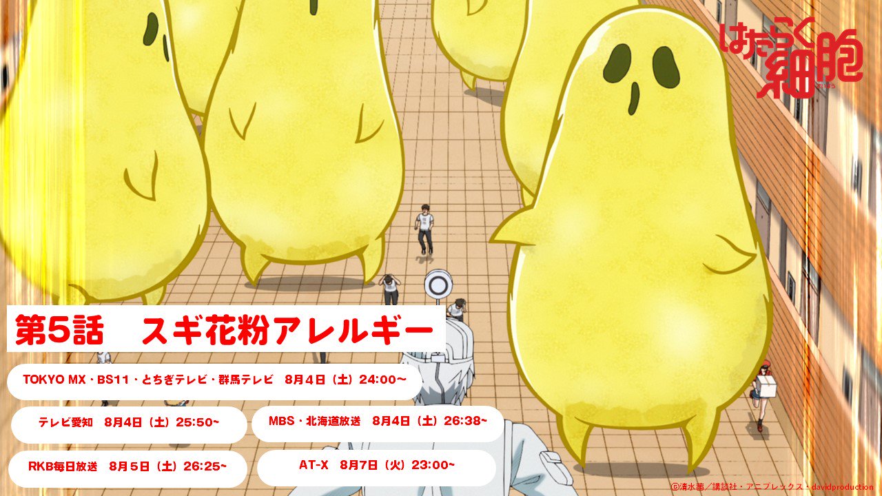 はたらく細胞 公式 はたらく細胞 第5話 スギ花粉アレルギー 放送まであと10分 体内に大量に侵入したスギ花粉 花粉症に悩まされているときあなたの身体の中ではこうなっていたかも 是非ご覧ください T Co G8j8vxucve はたらく細胞 公式 はたらく細胞 第5話 スギ花粉アレルギー 放送まであと10分 体内に大量に侵入したスギ花粉 花粉症に悩まされているときあなたの身体の中ではこうなっていたかも 是非ご覧ください T Co G8j8vxucve