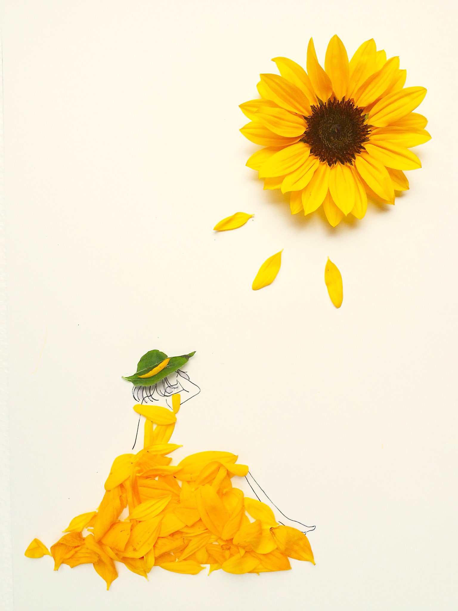 はな言葉 葉菜桜花子 新作ドレスできました ヒマワリ 花言葉 あなたは素晴らしい あなただけを見つめる T Co X55wtpqcid Twitter