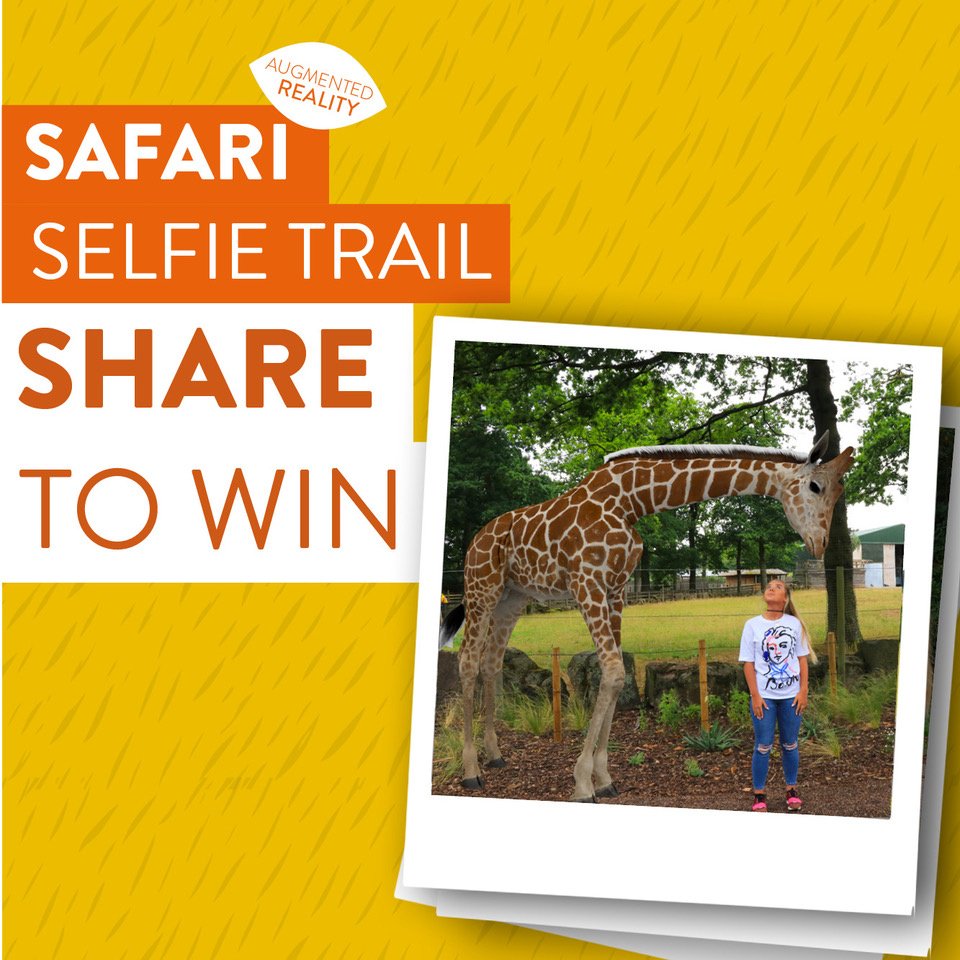 KnowsleySafari's tweet image. Welcome to our Safari Selfie Trail! Explore our foot safari with the added extra of bringing certain animals to life on your phone ready to take some close up selfies! Share your pics to be in with the chance of winning a Safari Family Membership! hubs.ly/H0dgGy-0
