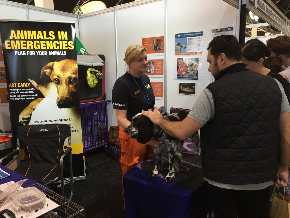 Sue4SearchDogs's tweet photo. Zali trying her paw at community engagement @DogLoversShow https://t.co/Dlg5FA4Tj6
