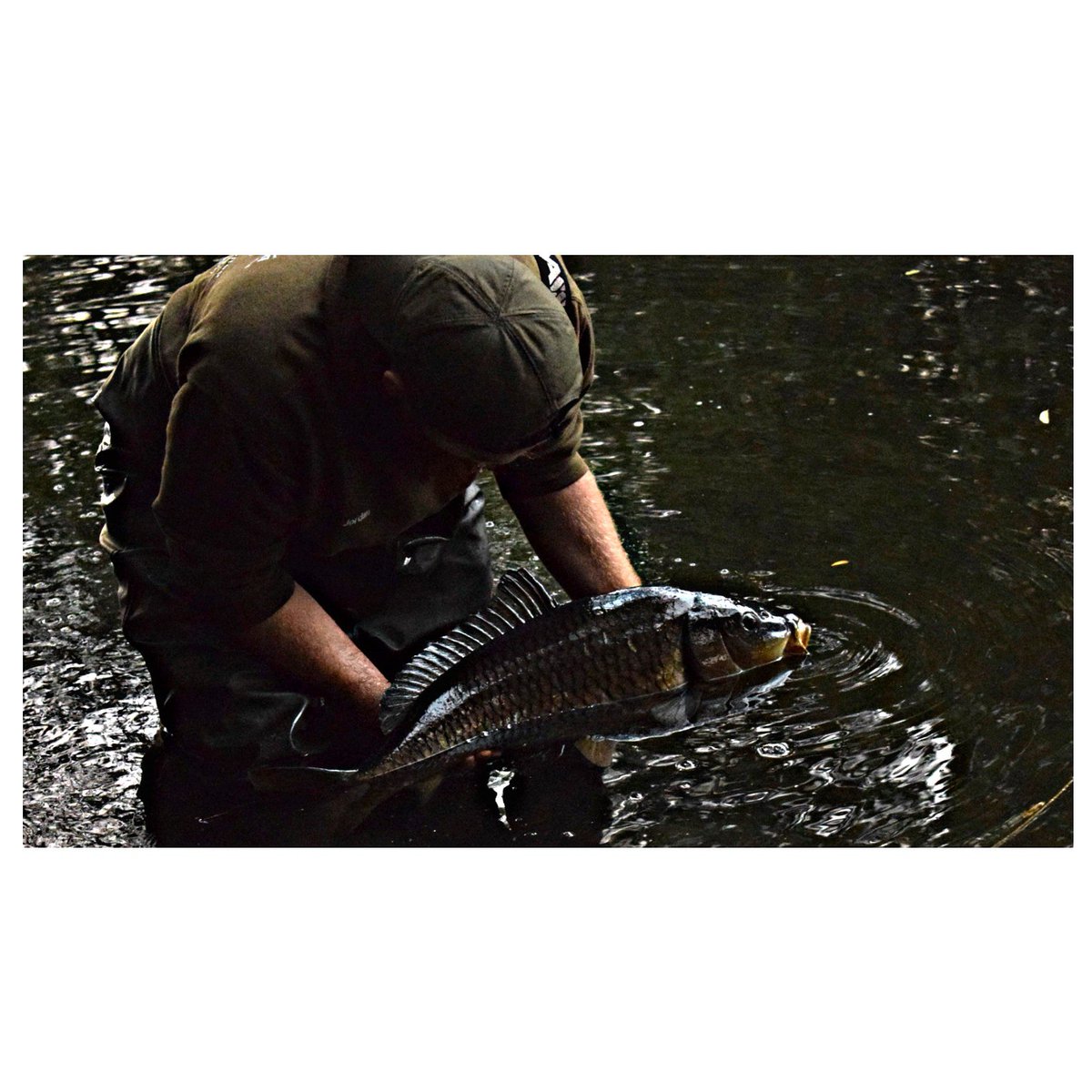 Back she goes!
#thebeardedfisherman #tackleandbaits #DNABaits #redefiningquality #teamkorda #kordaofficial #danglersnation #monkeyclimber #carpy #thatscarpy #carpfishinguk #angling #carpangling #carpology #englishcarping #photograpgy #instaphotography #nikon #photooftheday