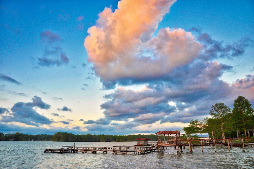 Trish Archer tweet media