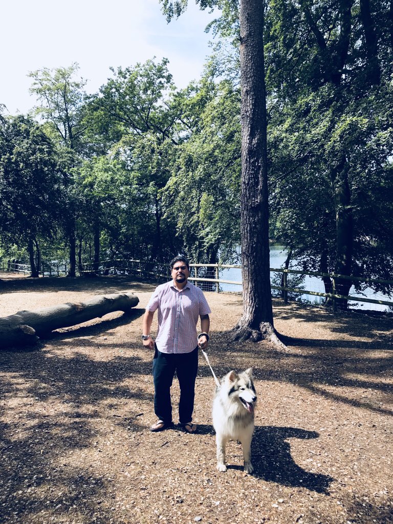 Taking Chewie for a walk