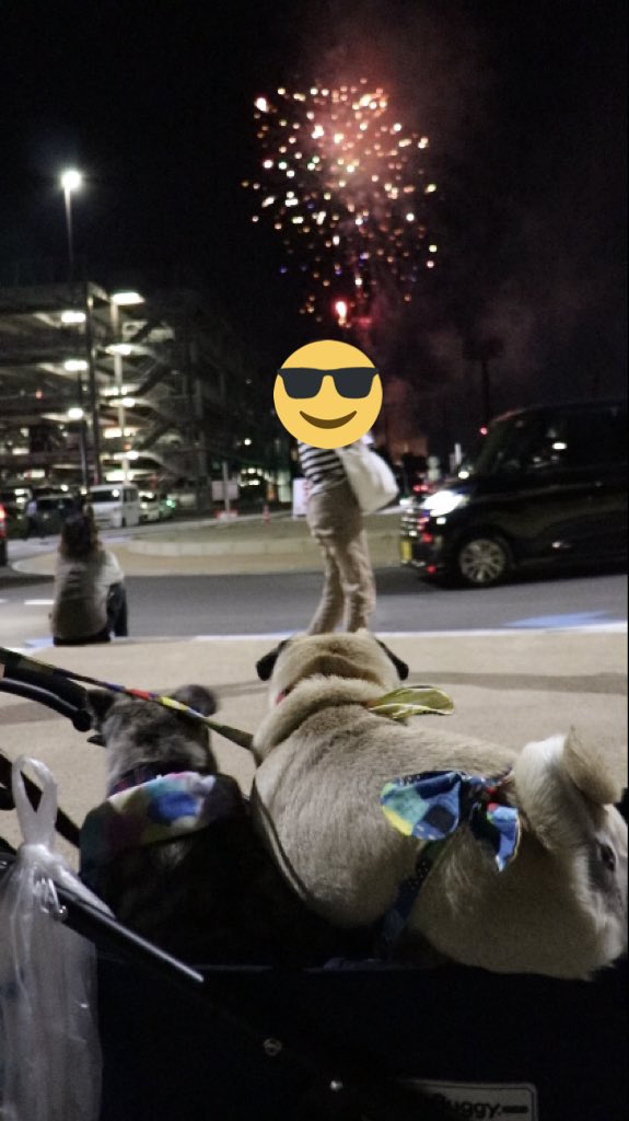 松前町祭り 松前町祭り