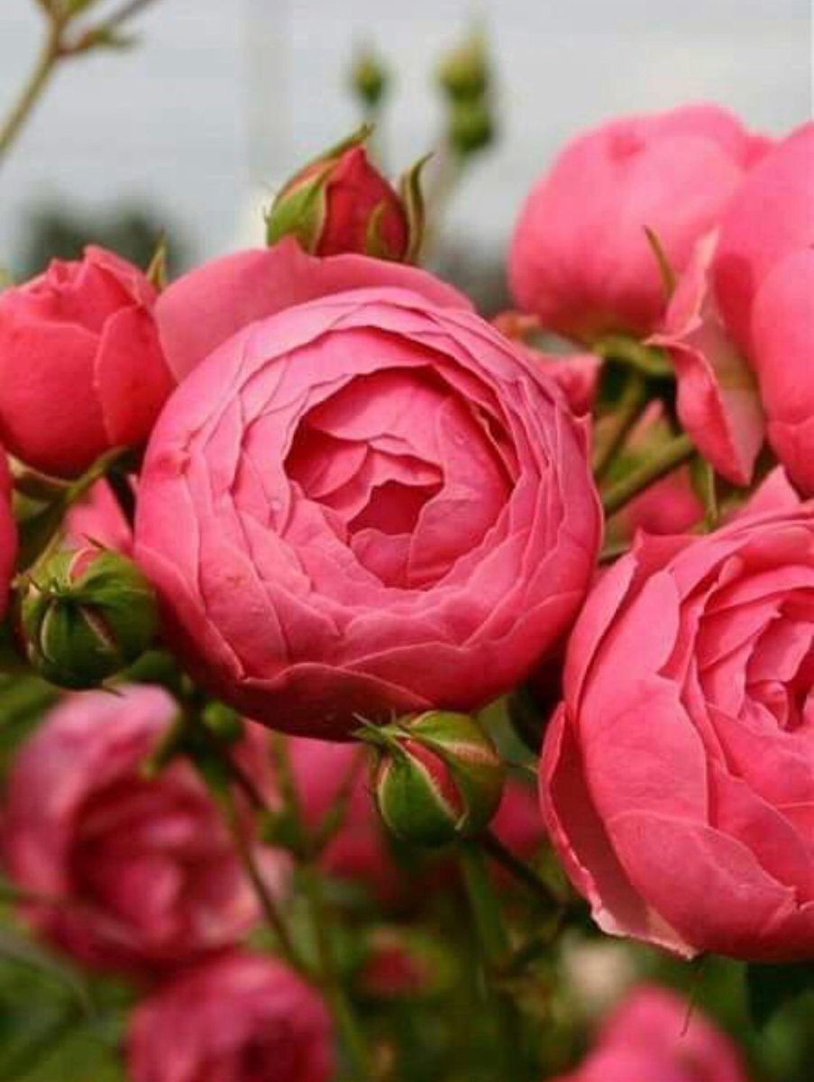 <a href="/y_m9y/">‏‎@y_m9y</a>
#العنود_للدعم
#المقابيل_للدعم
#الصداقة_للدعم
#قروب_غيم_للدعم
#قروب_سيف_للدعم
#نلتقي_لنرتقي_للدعم
#عطر_البوح_للدعم
#للمحبة_عنوان_للدعم
#غربة_مشاعر_للدعم
#دارين_للدعم
#أوتار_الحب_للدعم
#دعم_ص
#دلع_للدعم