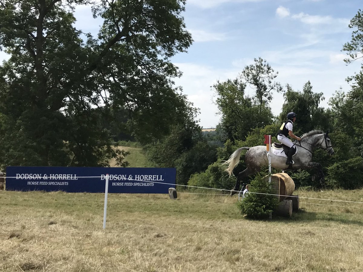 Smoothly does it for <a href="/TomMcEwen1/">Tom McEwen</a> over the @DodsonHorrell Owl Log <a href="/FestivalofBE/">Festival of British Eventing</a> #FBE18 #FJLife