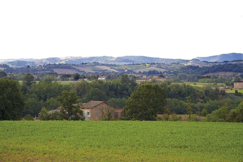 ParmesanUK's tweet photo. #DYK that #ParmigianoReggiano is exclusively produced in the provinces of #Parma, #ReggioEmilia, #Modena and parts of #Mantua and #Bologna? #PDOProduct https://t.co/lccg9fGfUT