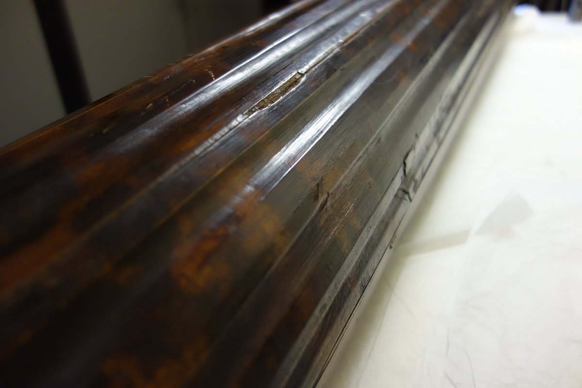 Trumpet marine joy at the <a href="/HornimanMuseum/">Horniman Museum and Gardens</a>. Intriguing harp body, 'spike' and canine head. #trumpetmarine #trombamarina