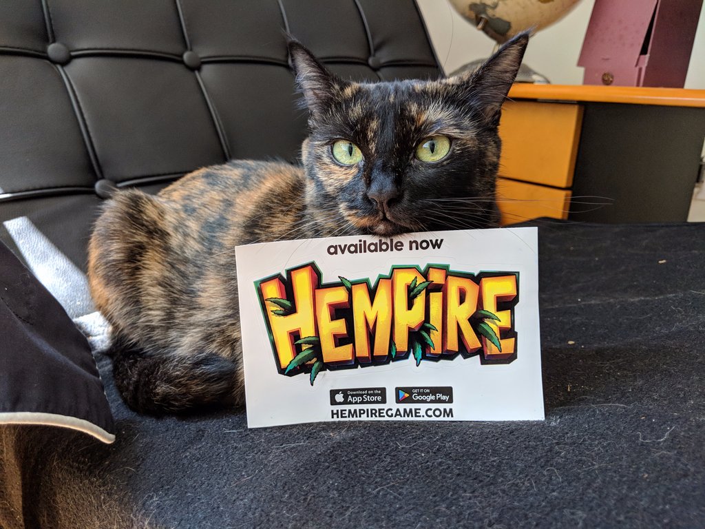 Hempiregame's tweet photo. It's Sticker Saturday! ✌😁
We've got some adorable staff and community pets to share! ❤️️
The last picture is comedy gold! 😏

#hempiregame #hempire #vansticky #stonedaf #petsofig https://t.co/JOF5LYQj0N