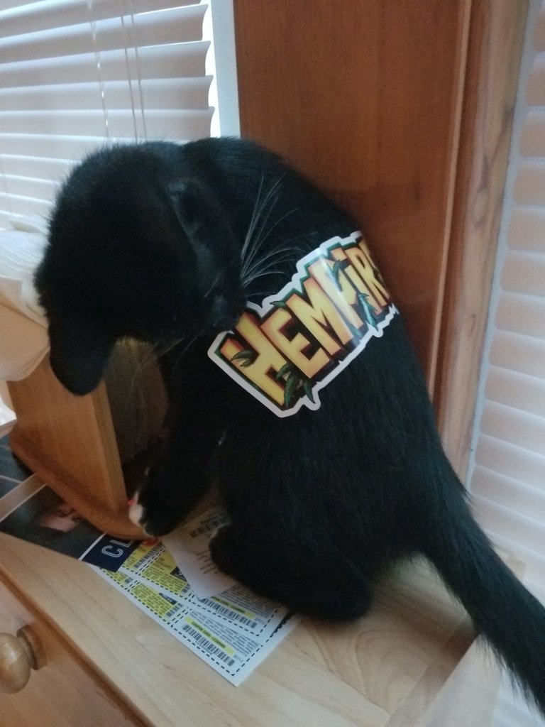 Hempiregame's tweet photo. It's Sticker Saturday! ✌😁
We've got some adorable staff and community pets to share! ❤️️
The last picture is comedy gold! 😏

#hempiregame #hempire #vansticky #stonedaf #petsofig https://t.co/JOF5LYQj0N