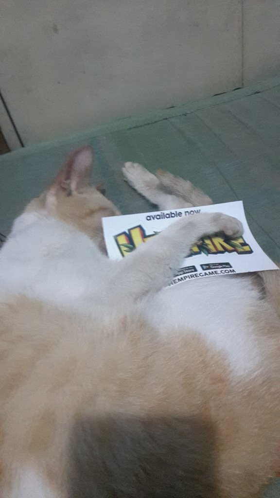 Hempiregame's tweet photo. It's Sticker Saturday! ✌😁
We've got some adorable staff and community pets to share! ❤️️
The last picture is comedy gold! 😏

#hempiregame #hempire #vansticky #stonedaf #petsofig https://t.co/JOF5LYQj0N