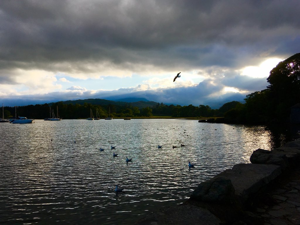 Heidi Piercy tweet media