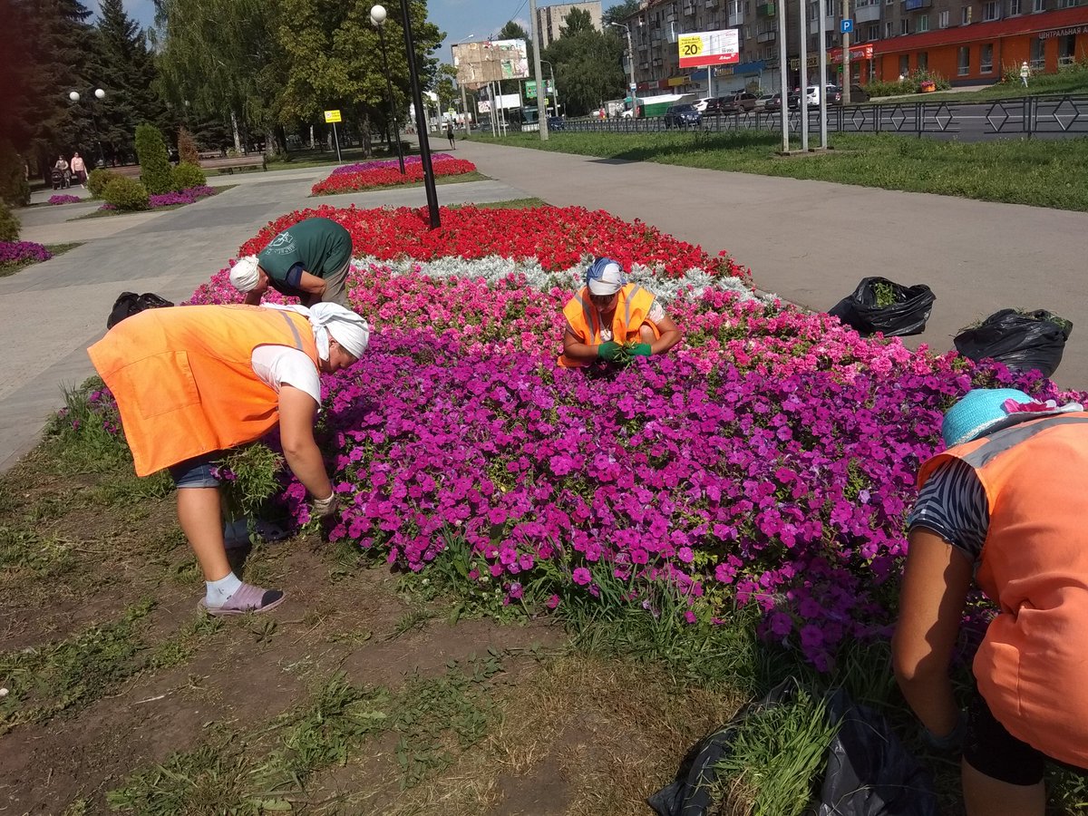 Лещева Татьяна l ОСМ Рассвет-2 (@555Leshcheva) | Twitter