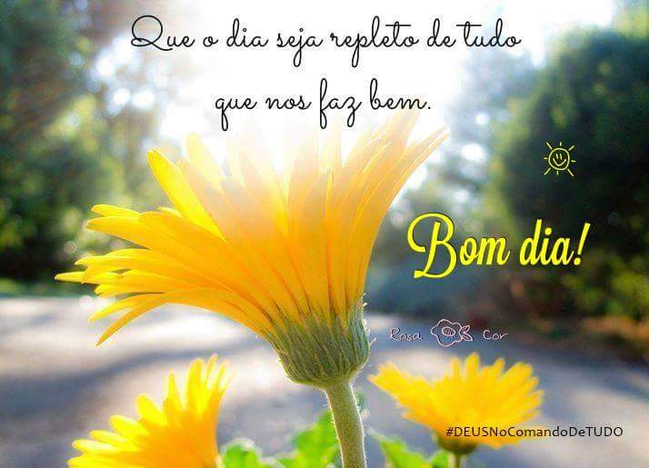 Luciana Castro on Twitter: Luciana Castro on Twitter: